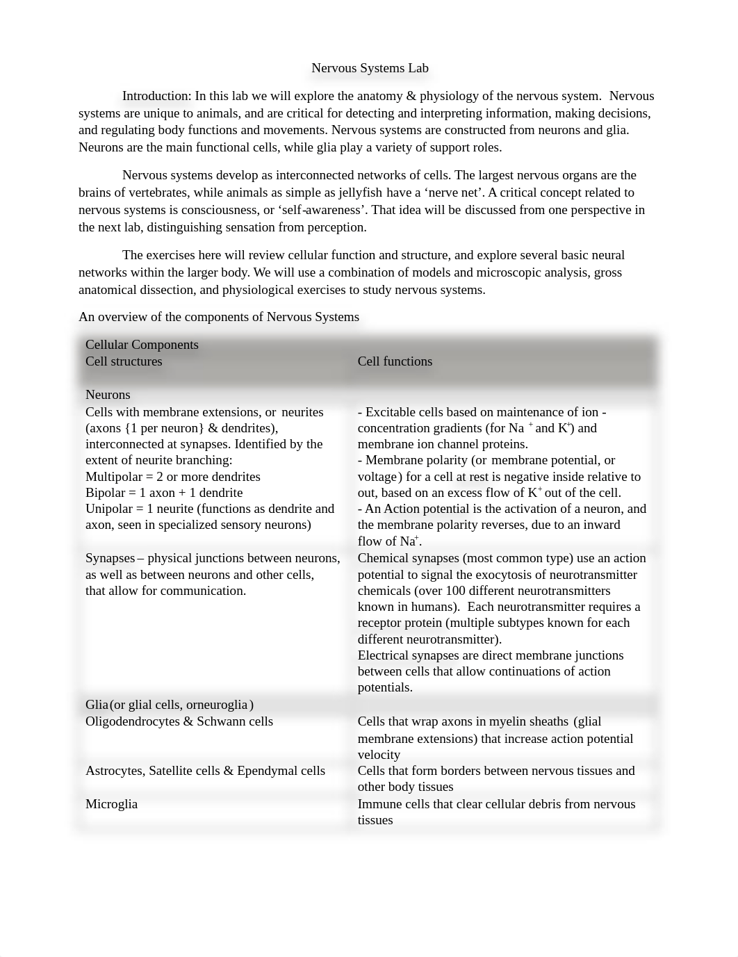 Lab 4 - Nervous System.pdf_d6qgfjsrcm2_page1