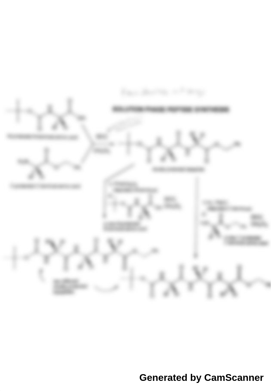 Organic Chemistry II - Solution Phase Peptide Synthesis and Merrifield Solid-Phase Peptide Synthesis_d6qkoajgbqw_page1