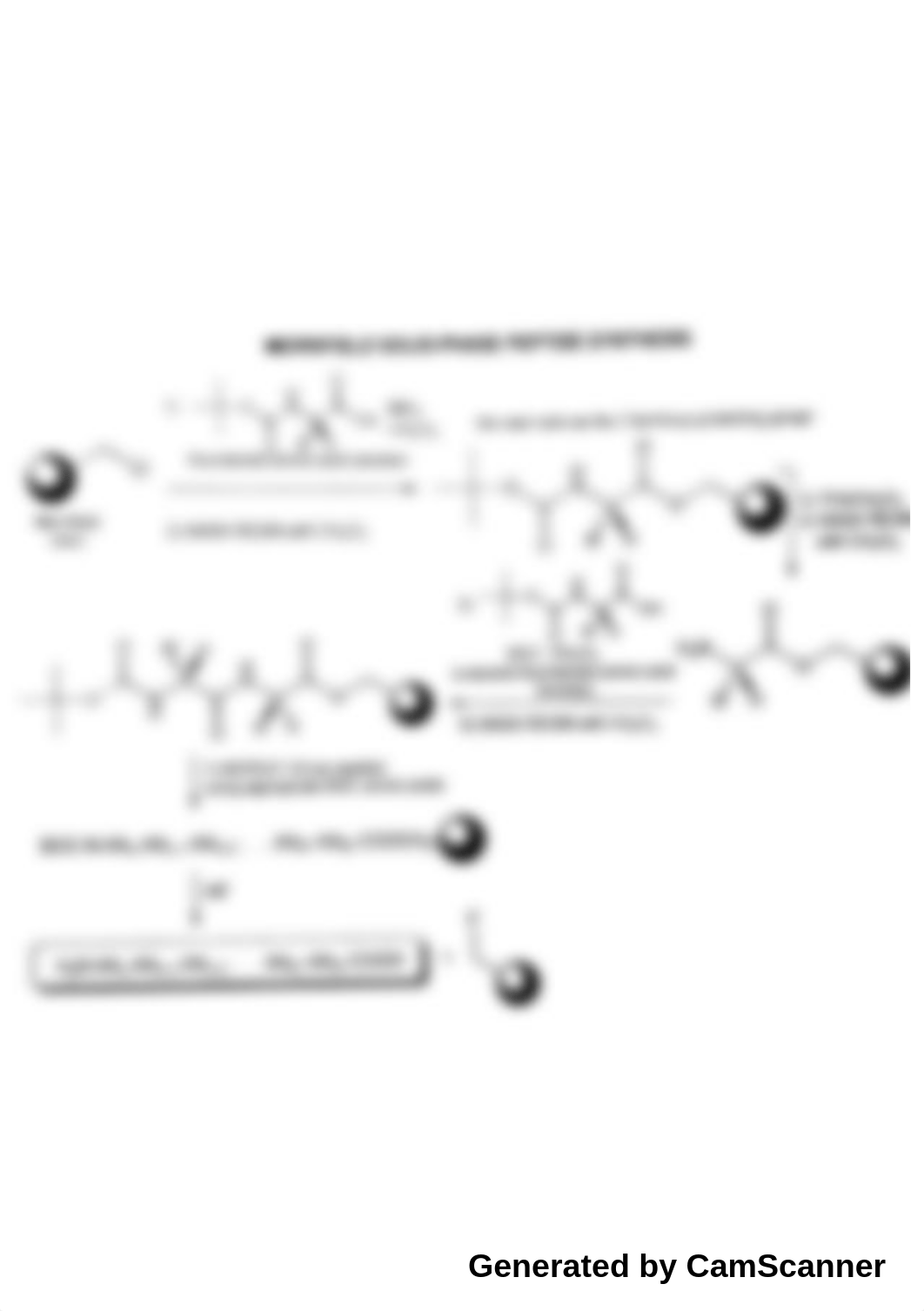 Organic Chemistry II - Solution Phase Peptide Synthesis and Merrifield Solid-Phase Peptide Synthesis_d6qkoajgbqw_page2