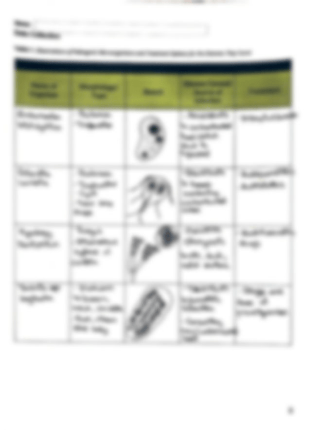 Pathogenic Eukaryotic Microorganism Worksheet.pdf_d6qniqy4pzv_page2