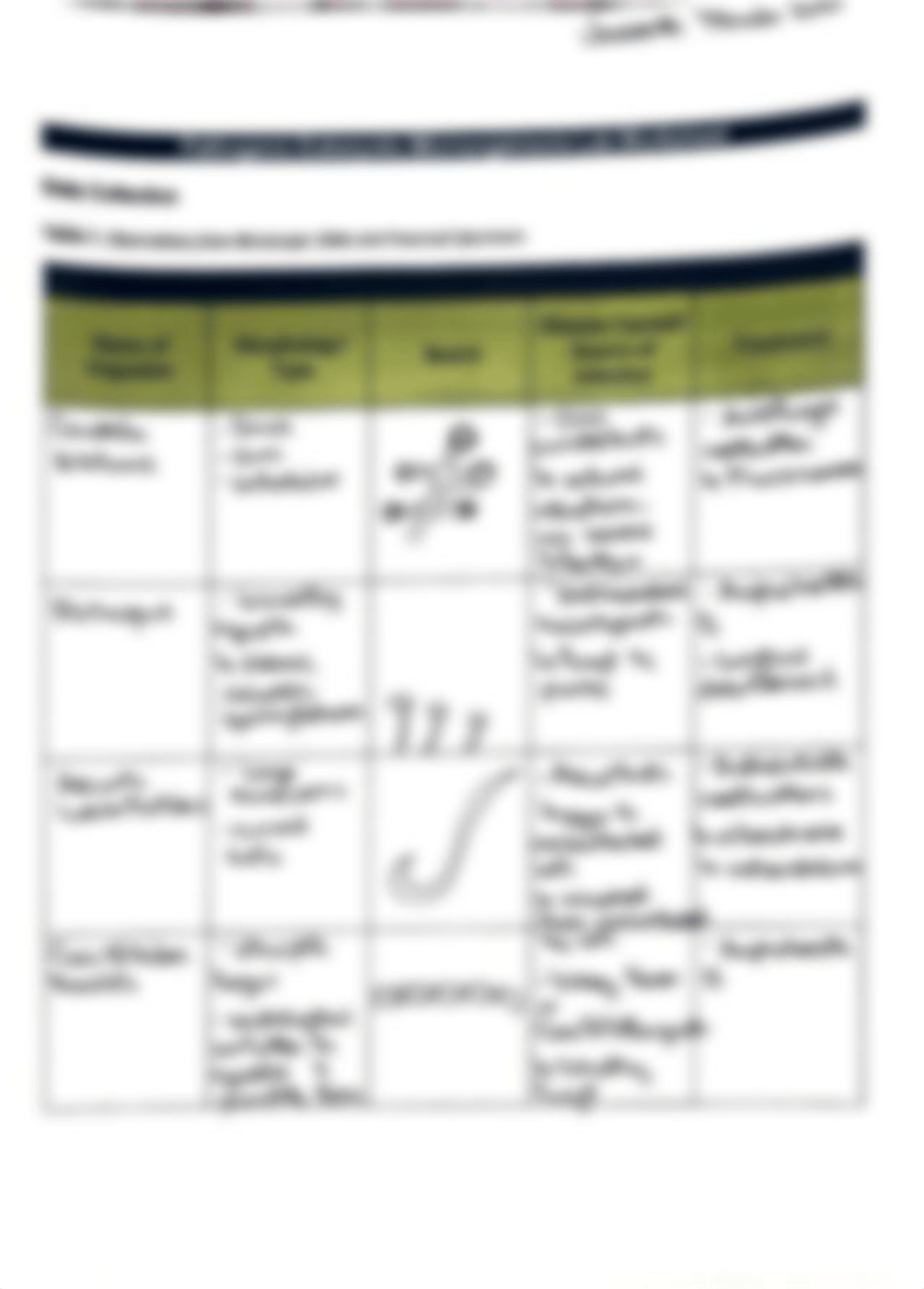 Pathogenic Eukaryotic Microorganism Worksheet.pdf_d6qniqy4pzv_page1