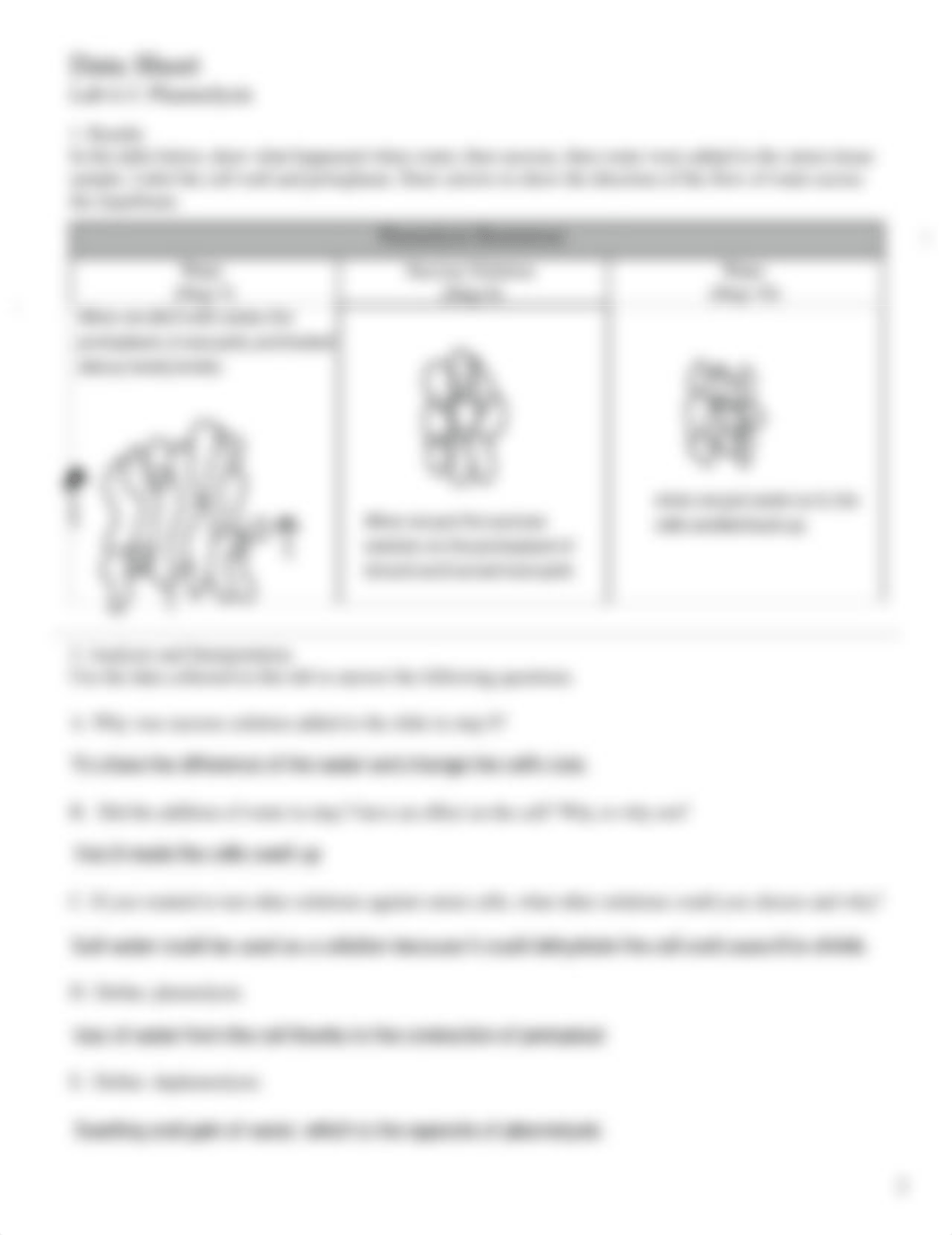 Plasmolysis-1 (1).pdf_d6qqrv9sn4h_page2