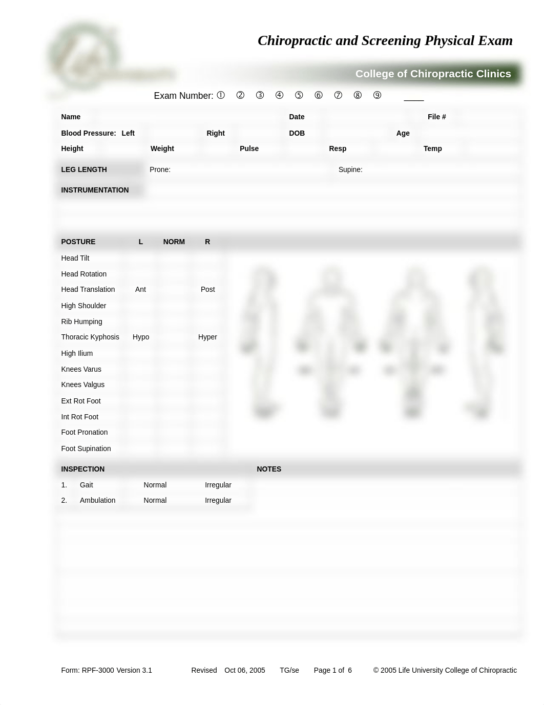 CLIN 2504 Chiropractic and Screening Physical Exams_d6qryi1zhq2_page1