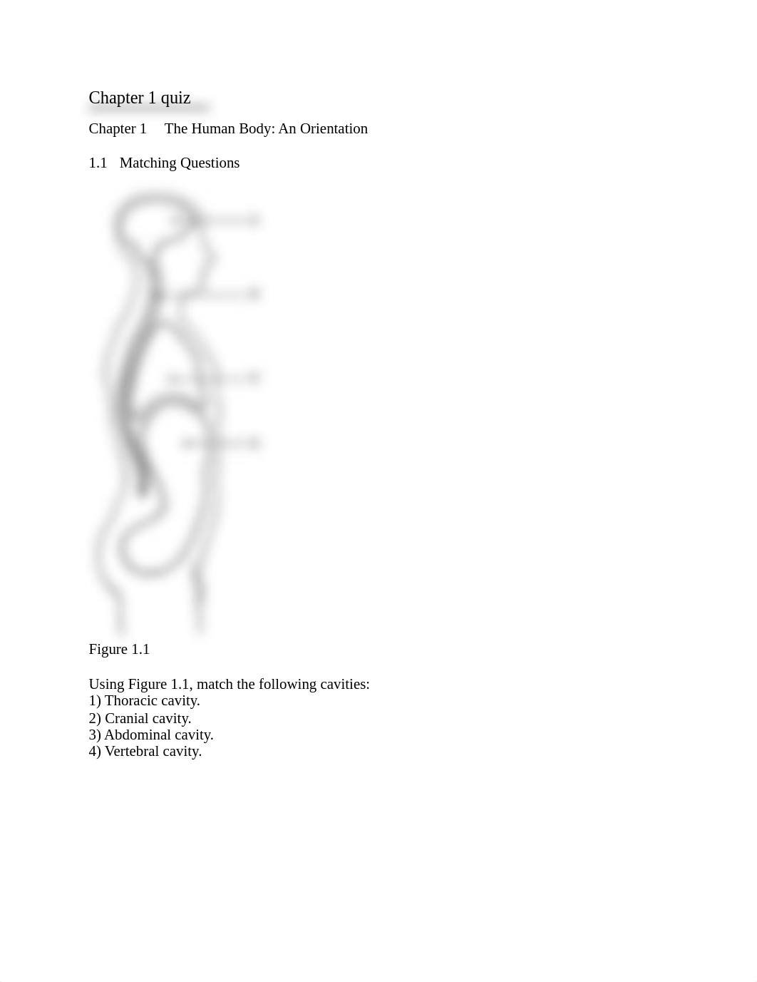 Chapter 1 quiz.pdf_d6quq2gch08_page1