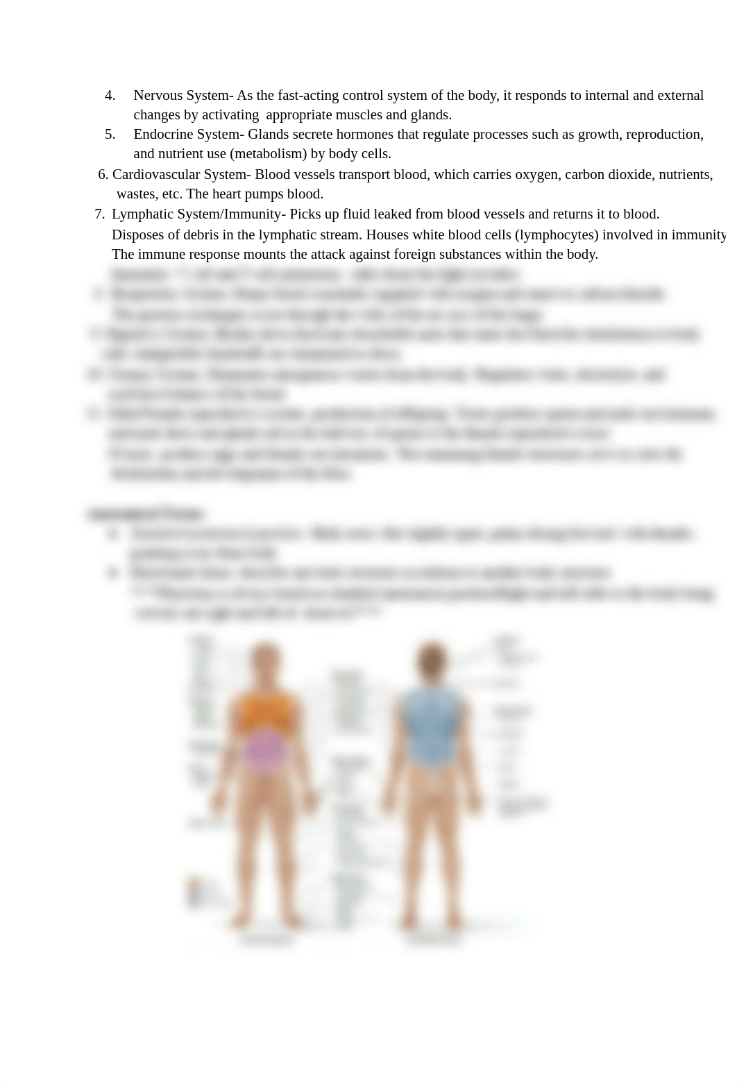 _Anatomy Exam 1.pdf_d6qxovvx2ct_page2