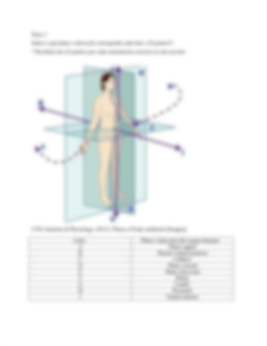 tarea 1.3 terminologia medica.docx_d6r48kk7l06_page2