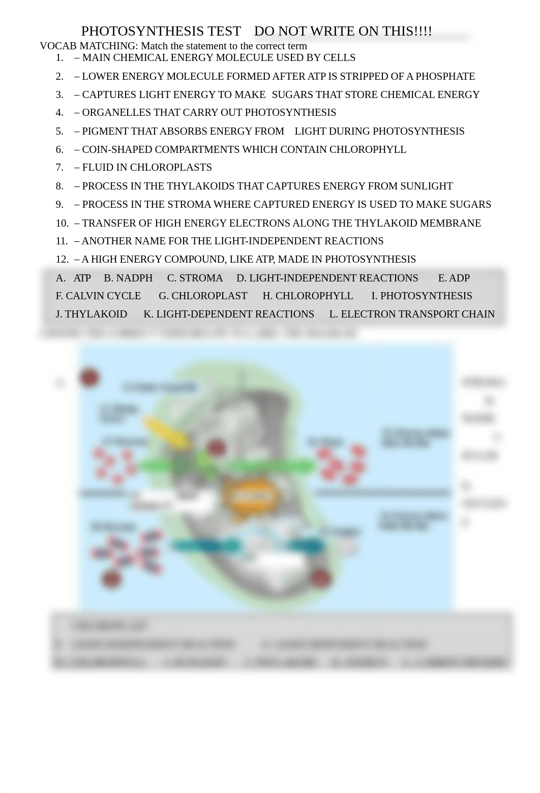 Photosynthesis Test.doc_d6r5pgqij0l_page1