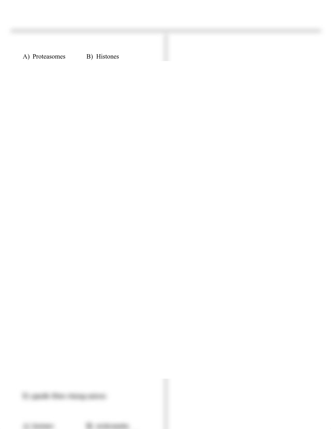 DNA_Replication_SC.pdf_d6r5weskgea_page1