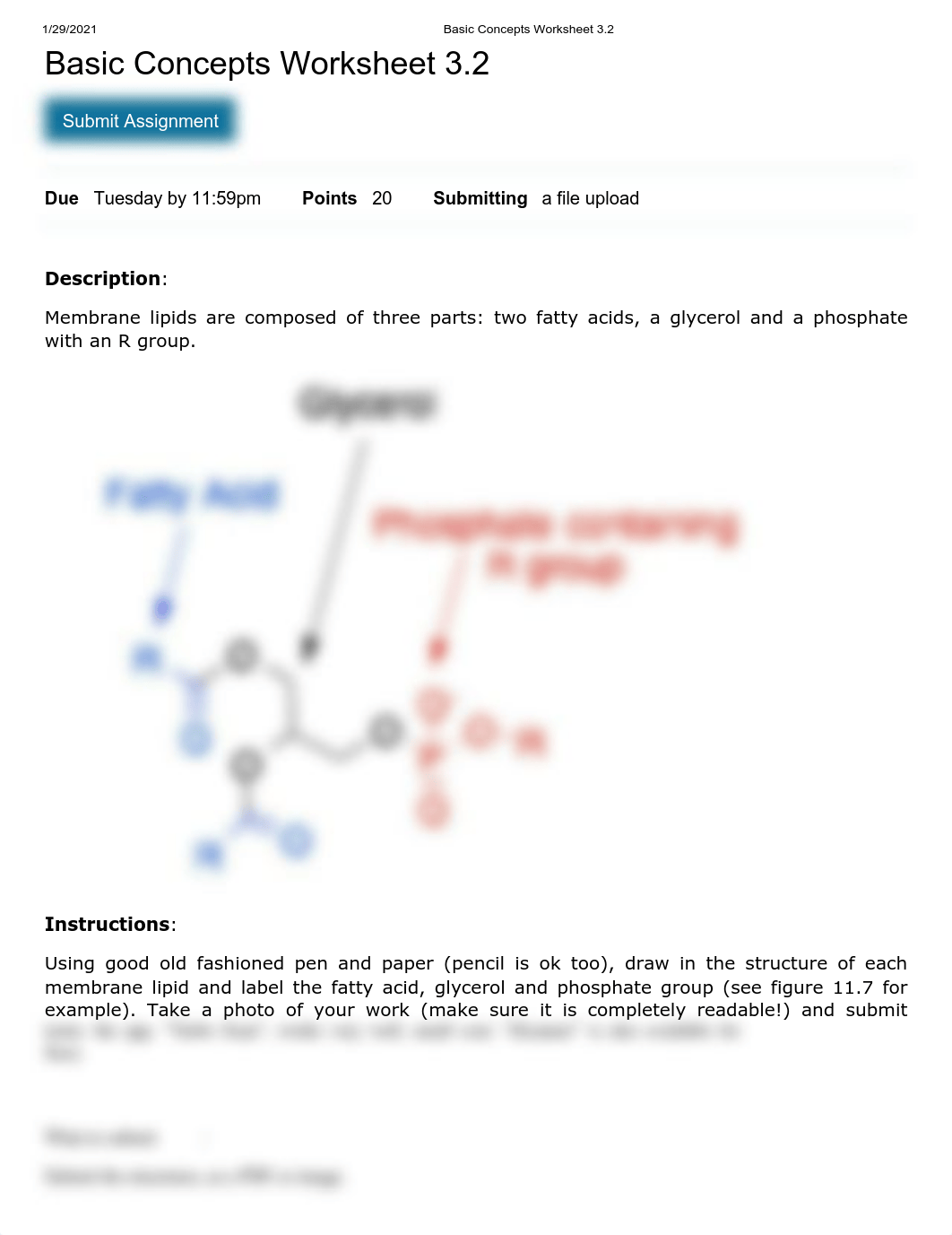 Basic Concepts Worksheet 3.2.pdf_d6r725quyej_page1