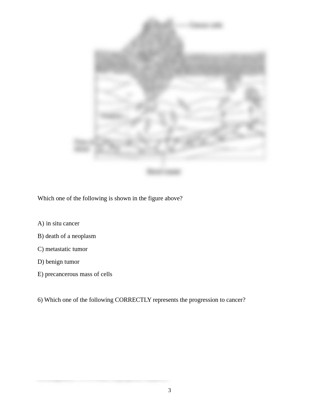 Test chapter 18.pdf_d6r8etogboh_page3