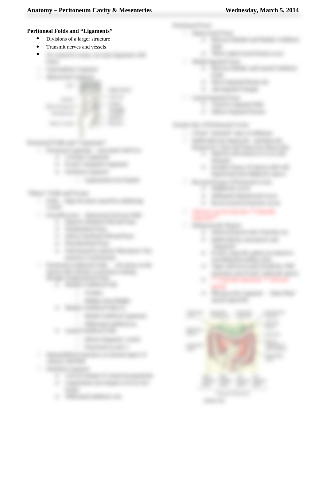 Anatomy - Peritoneum Cavity and Mesenteries_d6raoq3vlic_page2