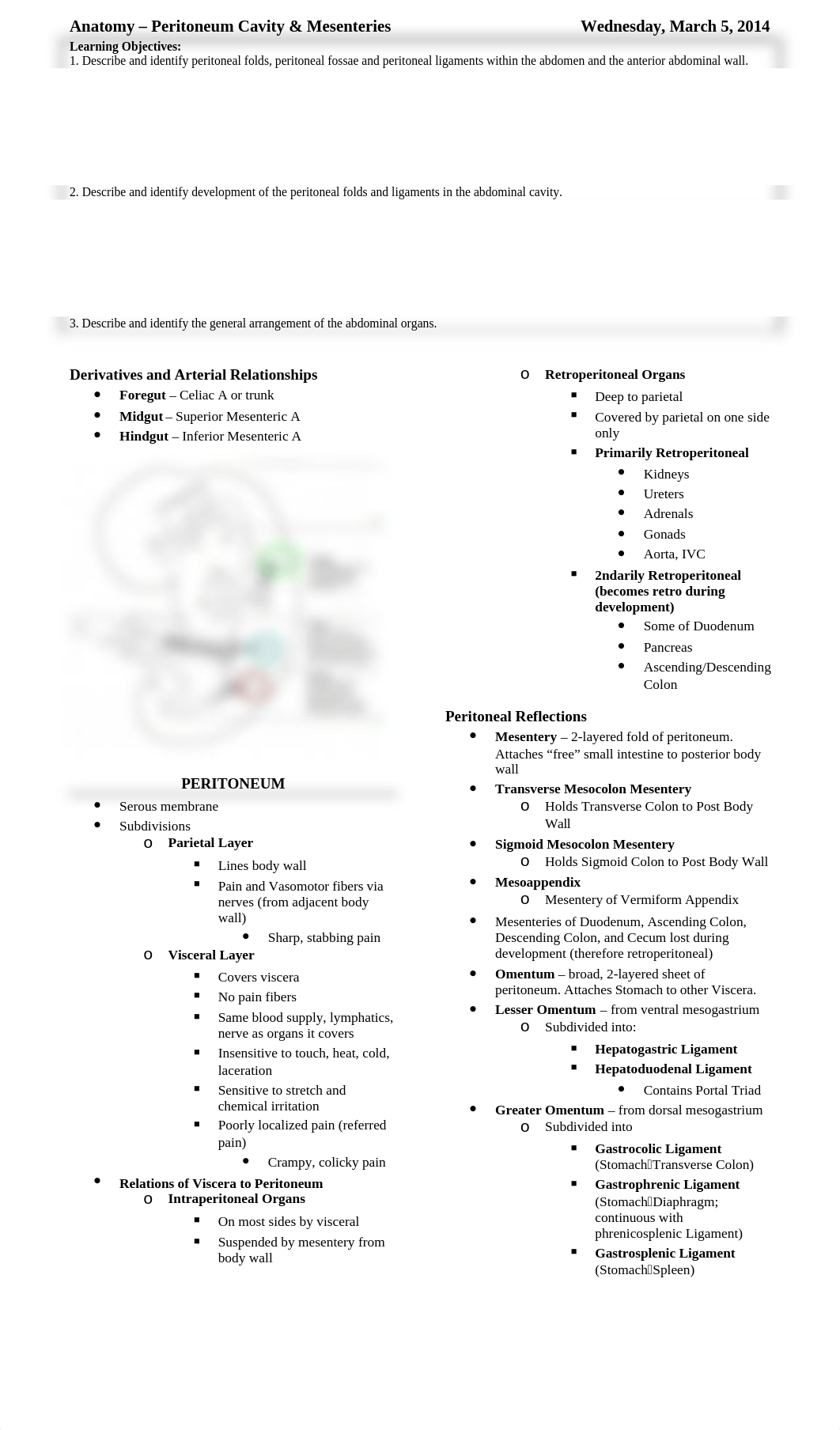 Anatomy - Peritoneum Cavity and Mesenteries_d6raoq3vlic_page1