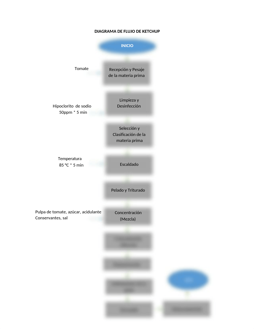 DIAGRAMA DE FLUJO DE KETCHUP.docx_d6rhr27s0m8_page1