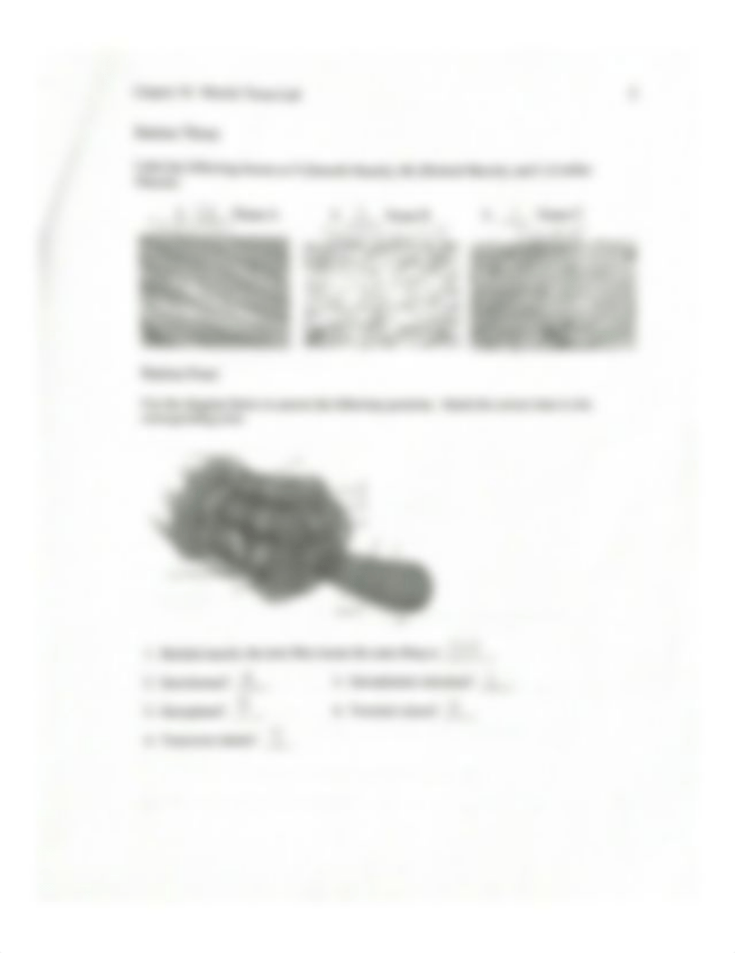 Chapter 10 Muscle Tissue Lab.pdf_d6ro00y26qk_page2