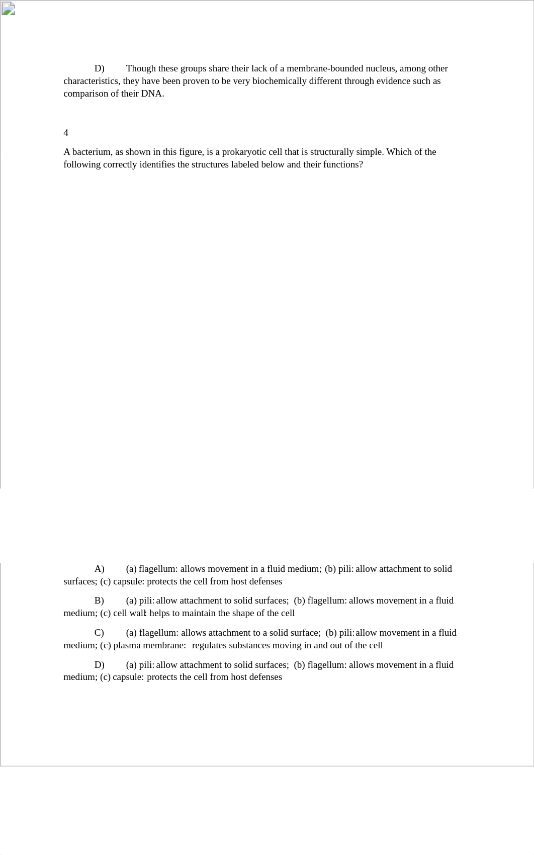 Assignment 4.docx_d6ru6tcqnu8_page2