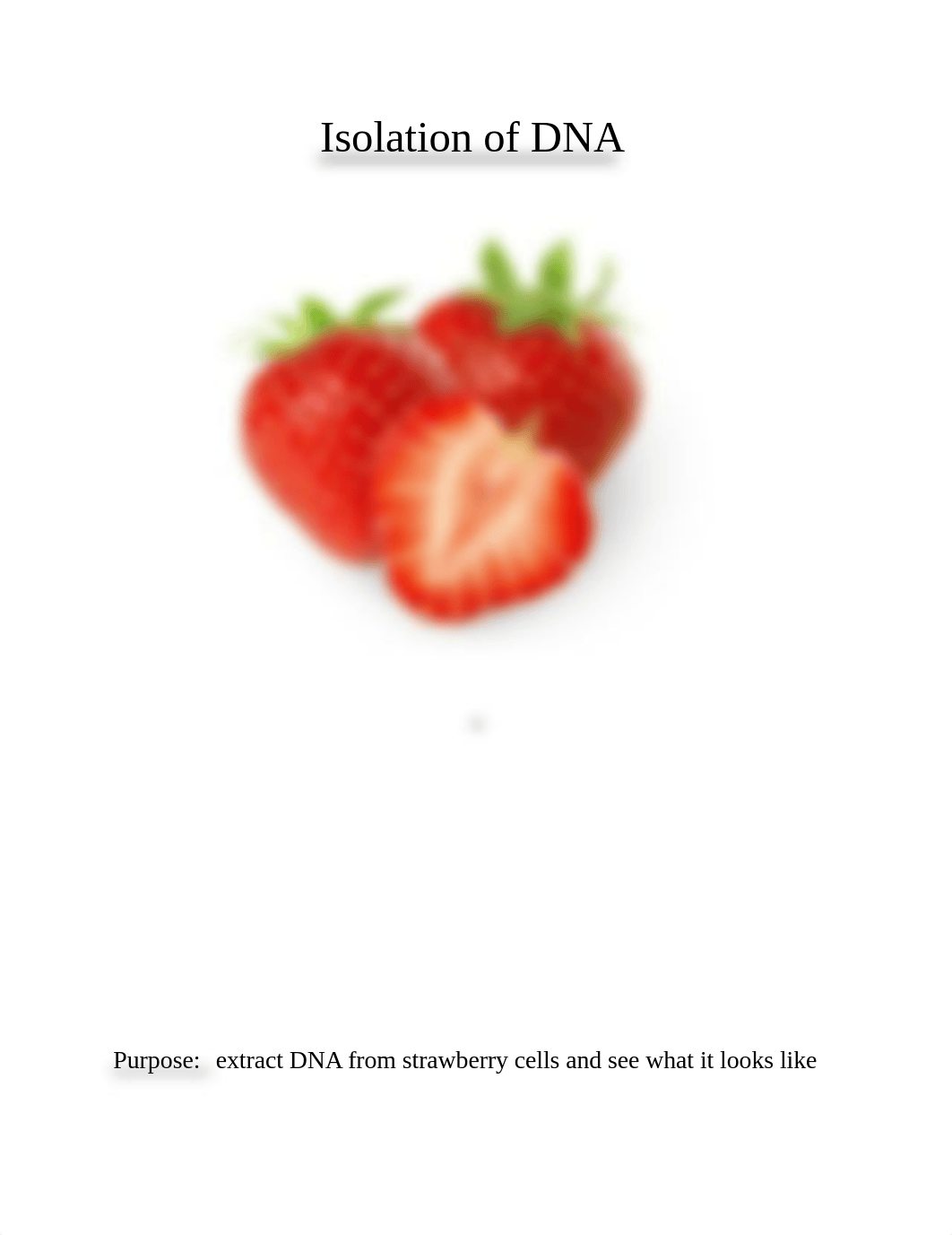 DNA strawberries Lab.docx_d6rxnepjypm_page1