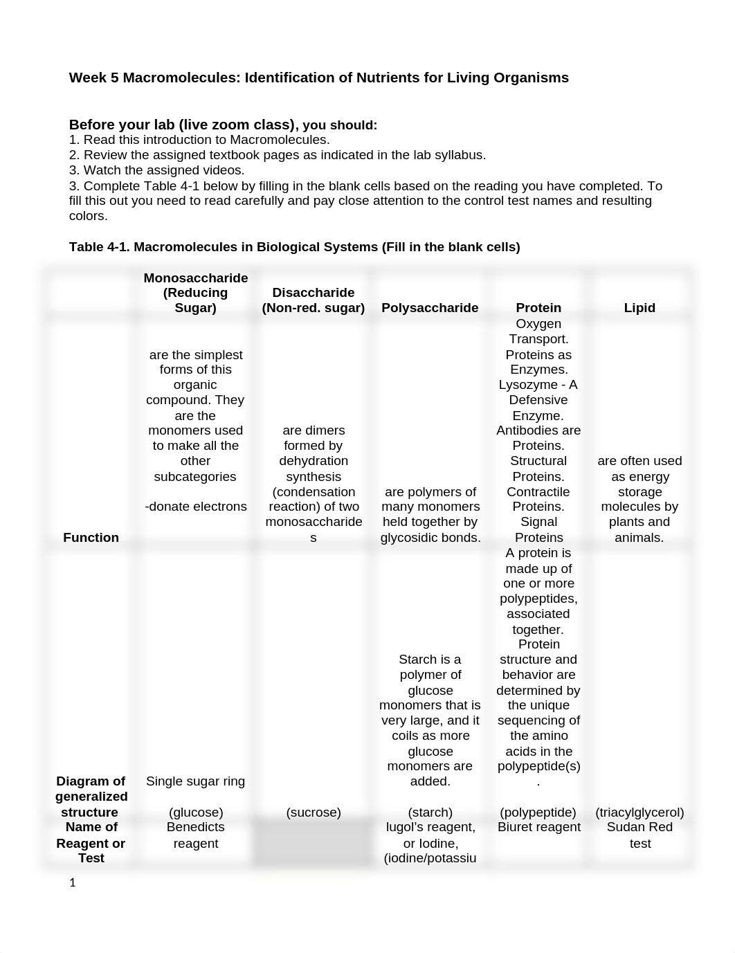 Lab 5 Macromolecules worksheet_F2020.docx_d6s8on8udlp_page1