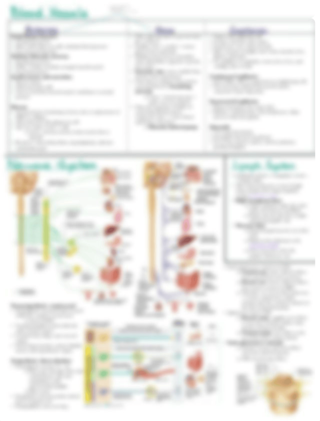 Midterm Review_ Lecture 1.pdf_d6scov42pxh_page3