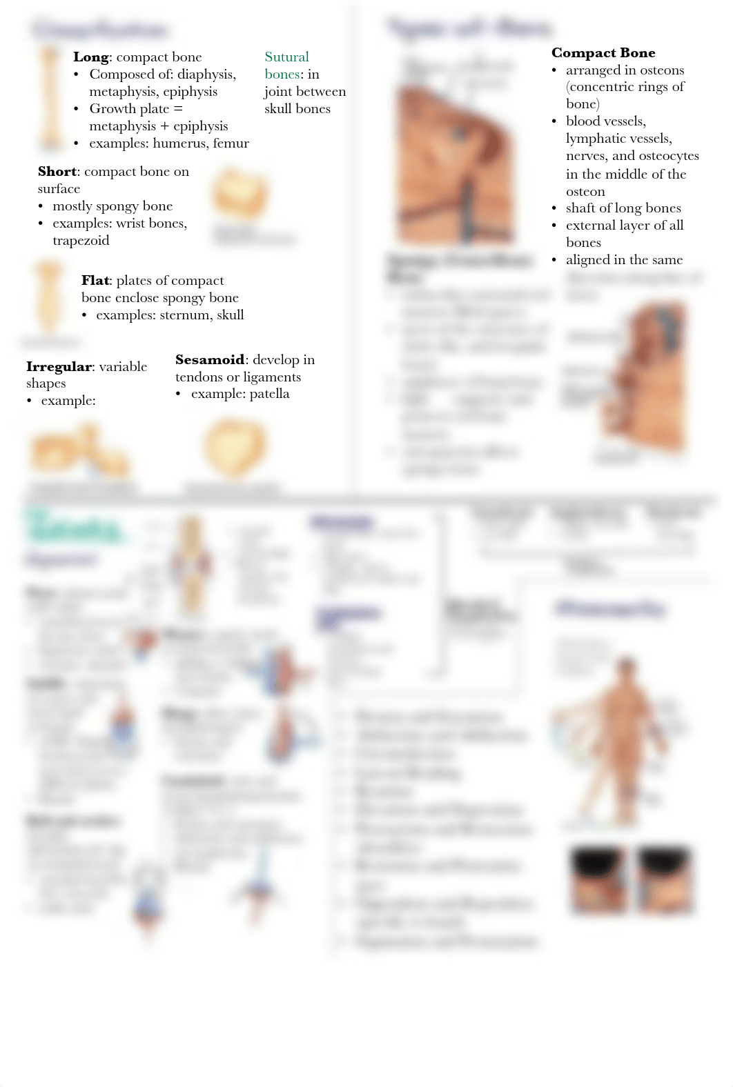 Midterm Review_ Lecture 1.pdf_d6scov42pxh_page2