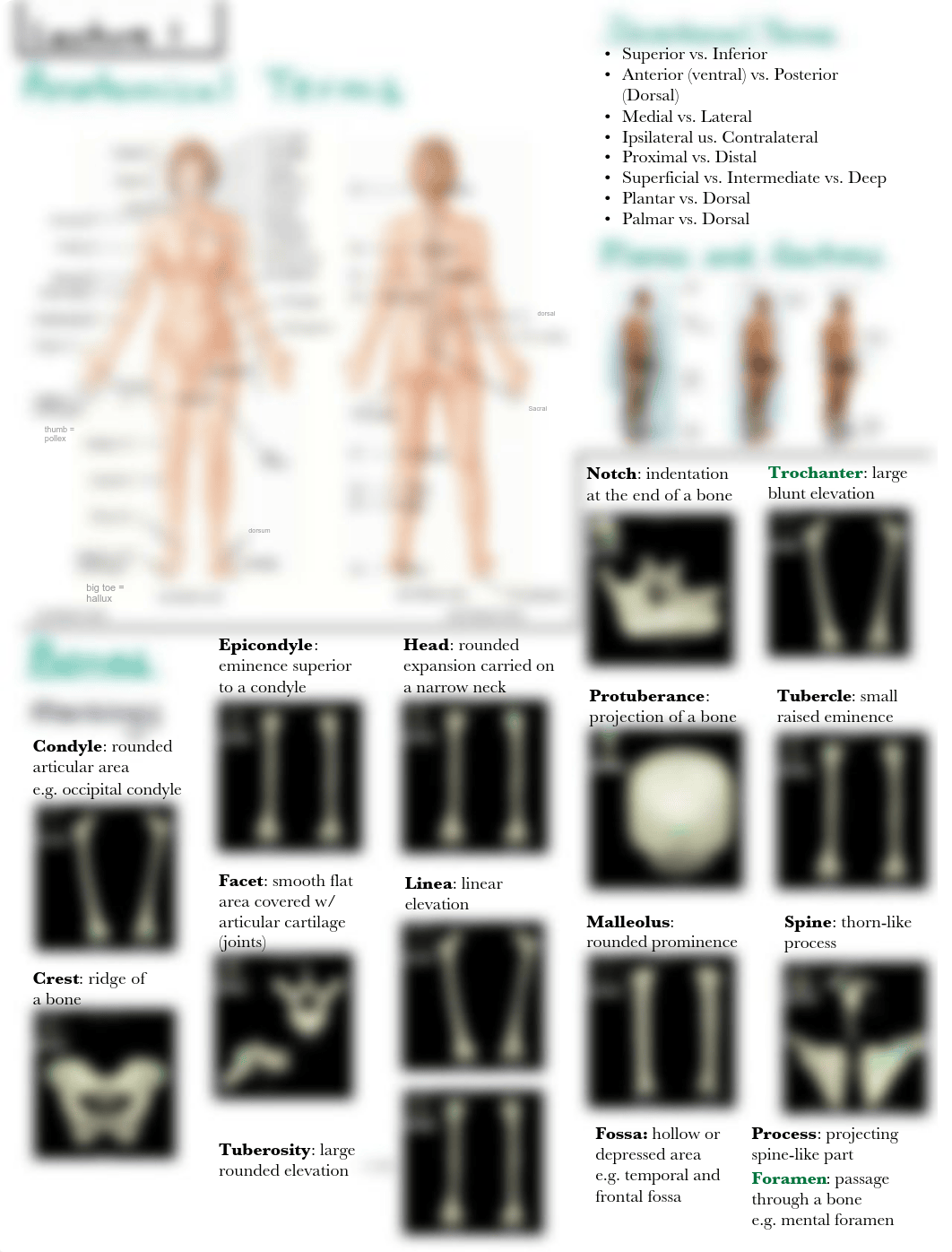 Midterm Review_ Lecture 1.pdf_d6scov42pxh_page1