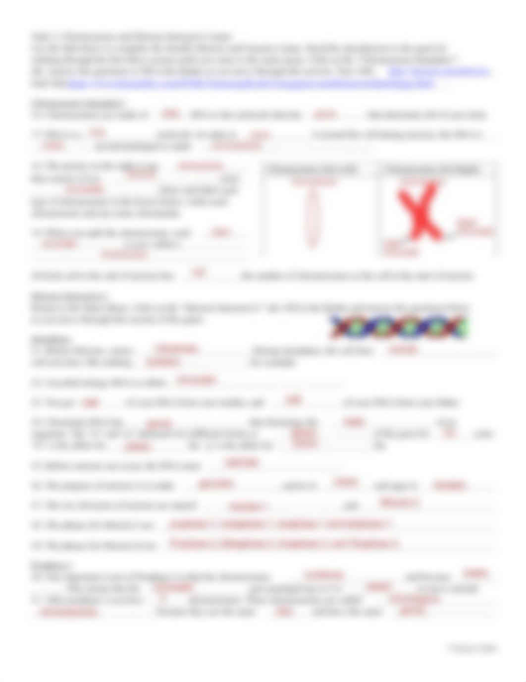 Meiosis WebQuest Student Handout (1).pdf_d6sctg3lzqq_page2