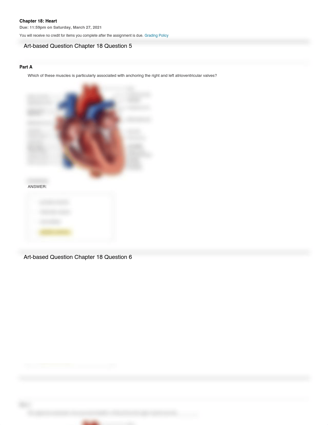 Chapter 18 Heart.pdf_d6se57gfd5j_page1