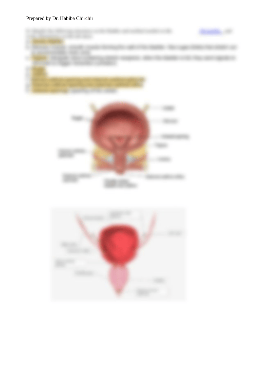 LAB 10 (1) copy.pdf_d6smtj79iyp_page3