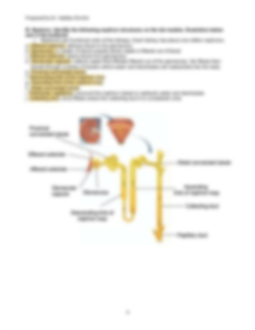 LAB 10 (1) copy.pdf_d6smtj79iyp_page4