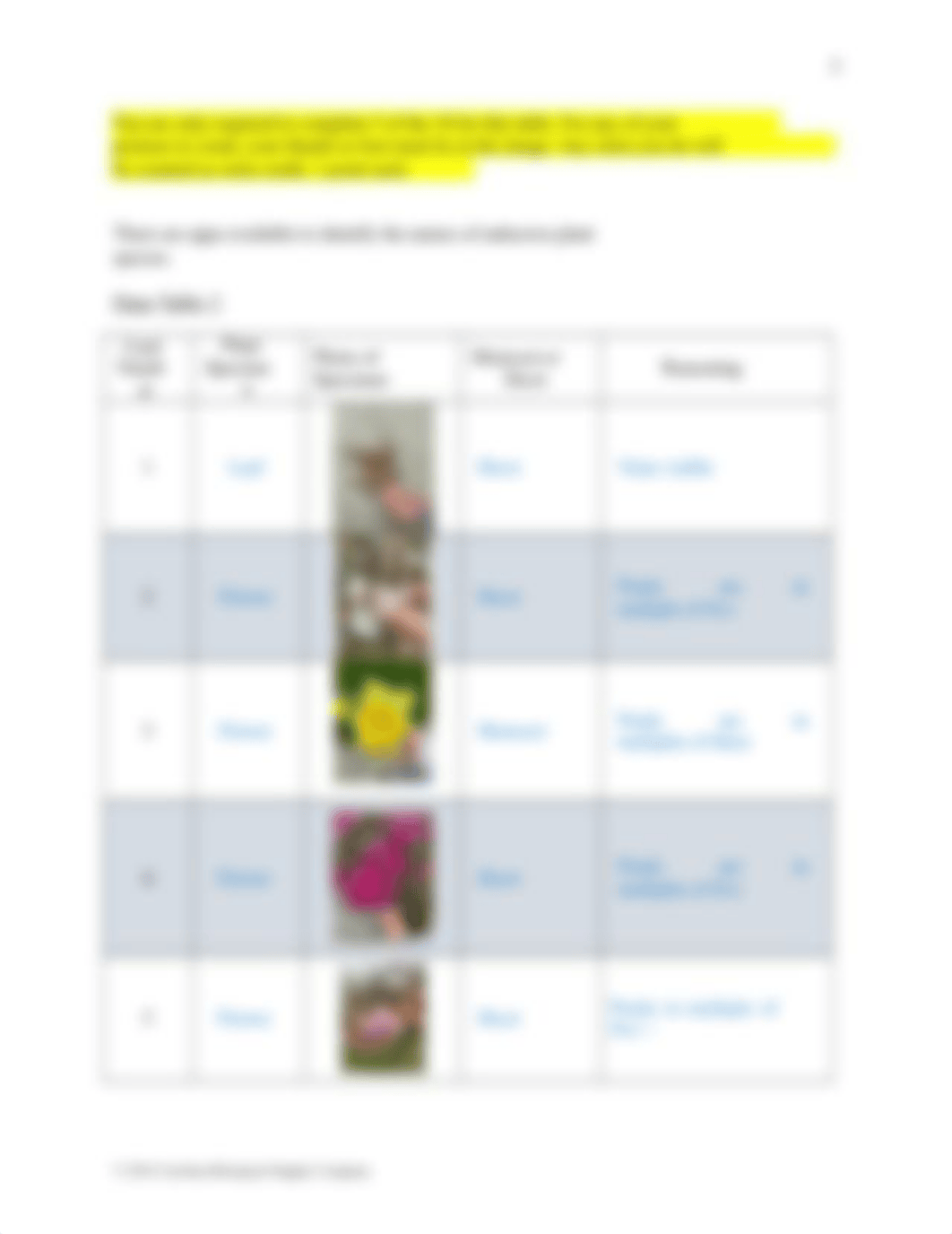 580160 Plant Histology with Study Cards Q MODIFIED(1).docx_d6sn6mgfhp0_page4