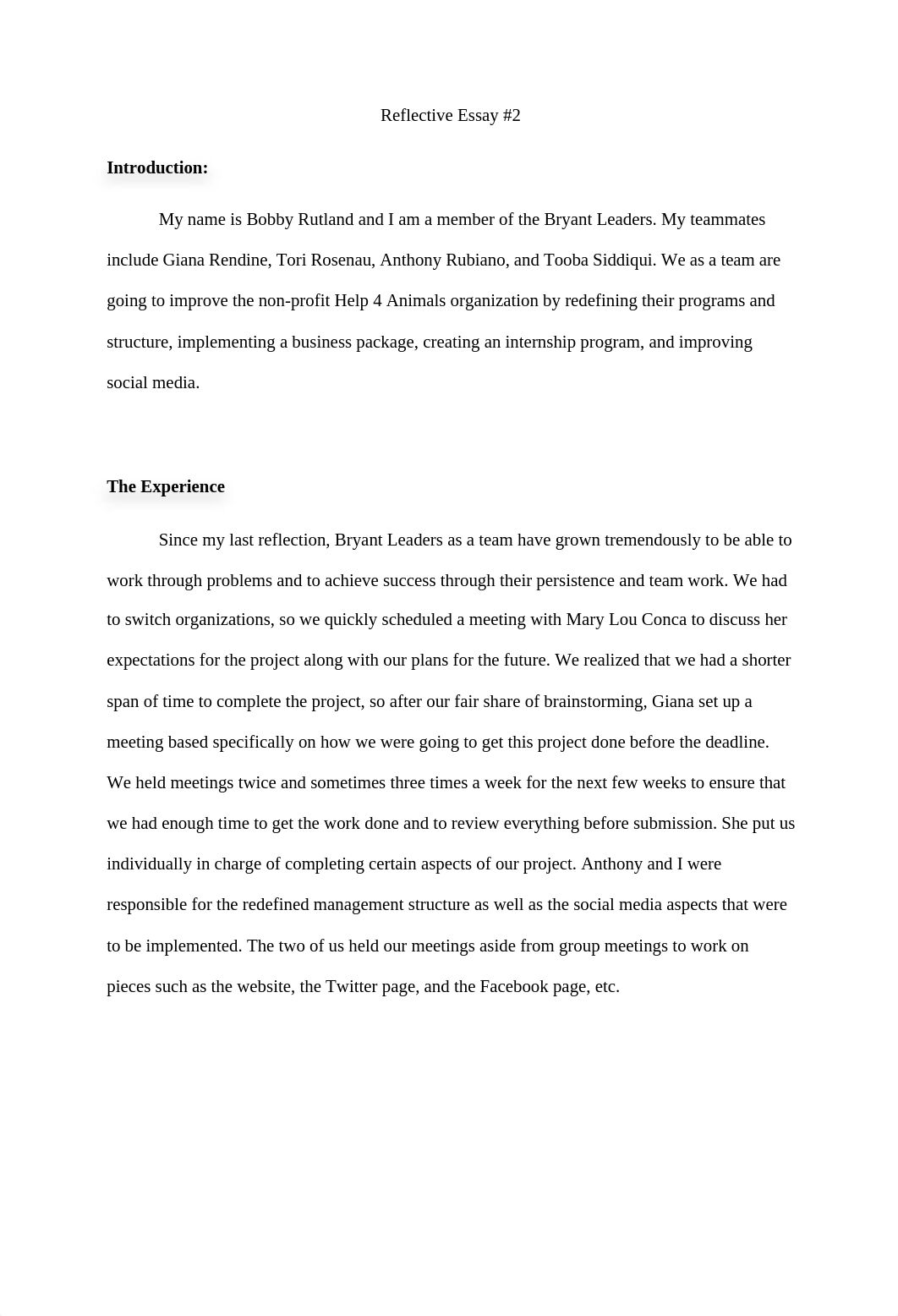 Reflective Essay 2 - Help 4 Animals_d6solyhx9vq_page2