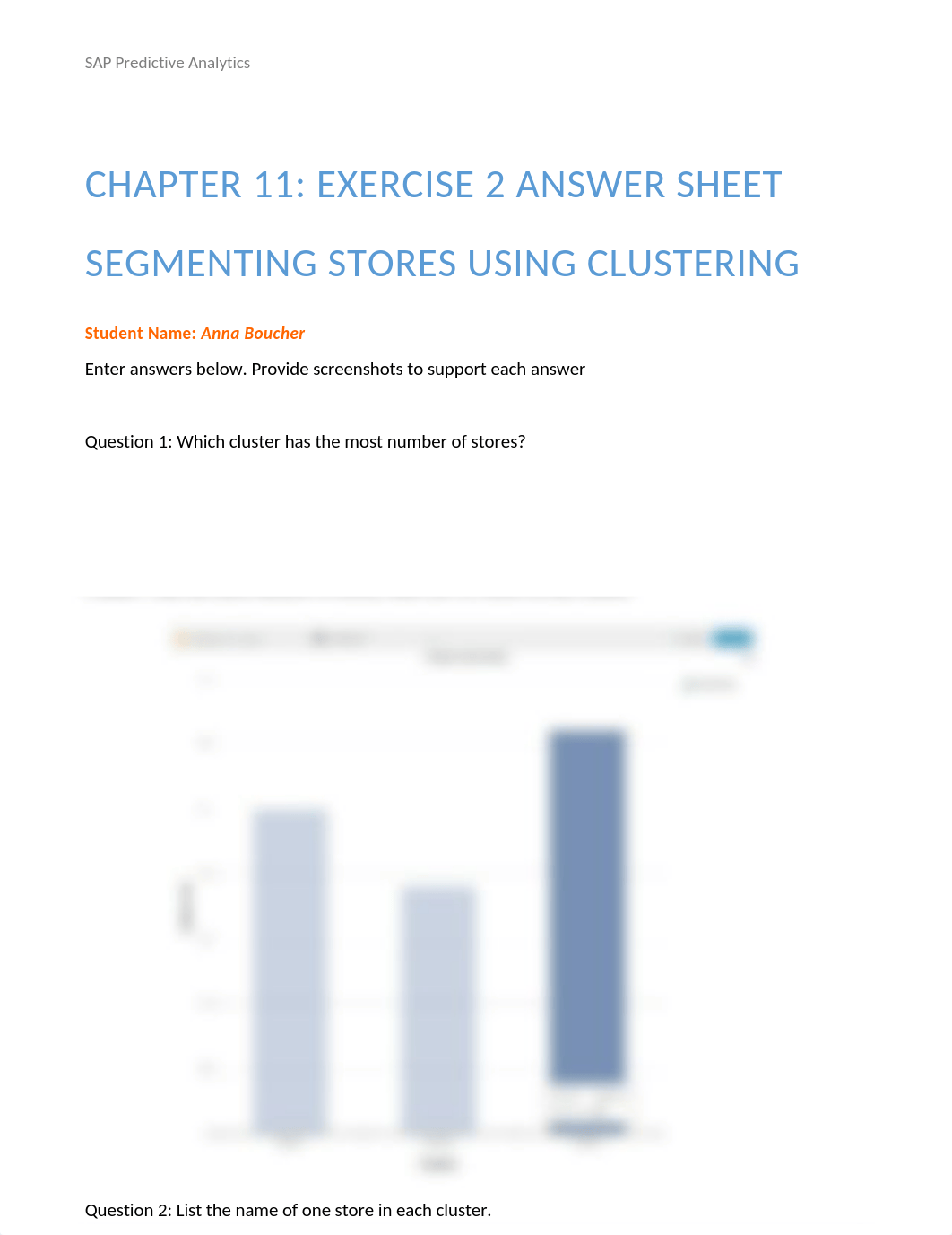 SAP Descriptive Analytics Worksheet 2Boucher.docx_d6sw4r7bdm6_page1