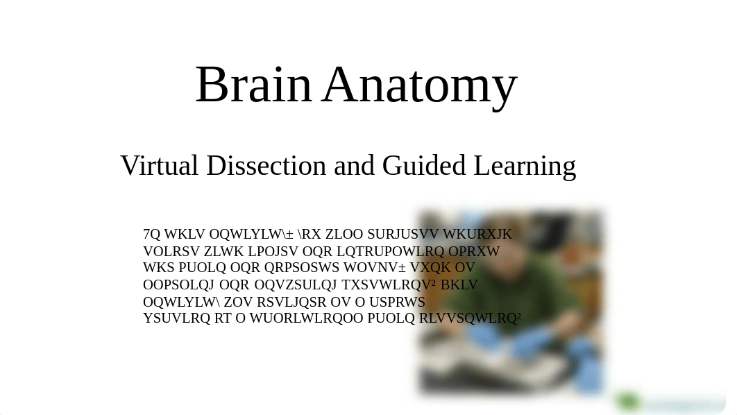 Copy of Copy of Brain Dissection - Guided Learning (1).pdf_d6swrqv8rk2_page1