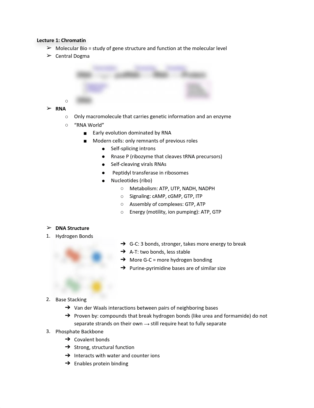 Molecular Exam 1.pdf_d6sydijwti2_page1