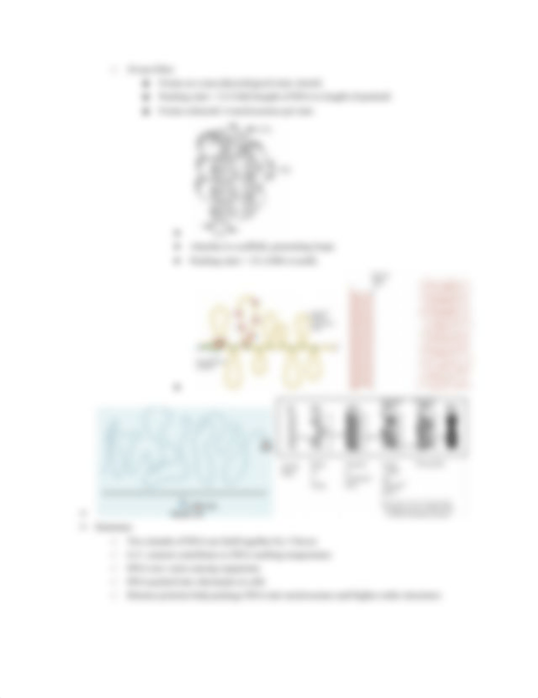 Molecular Exam 1.pdf_d6sydijwti2_page5