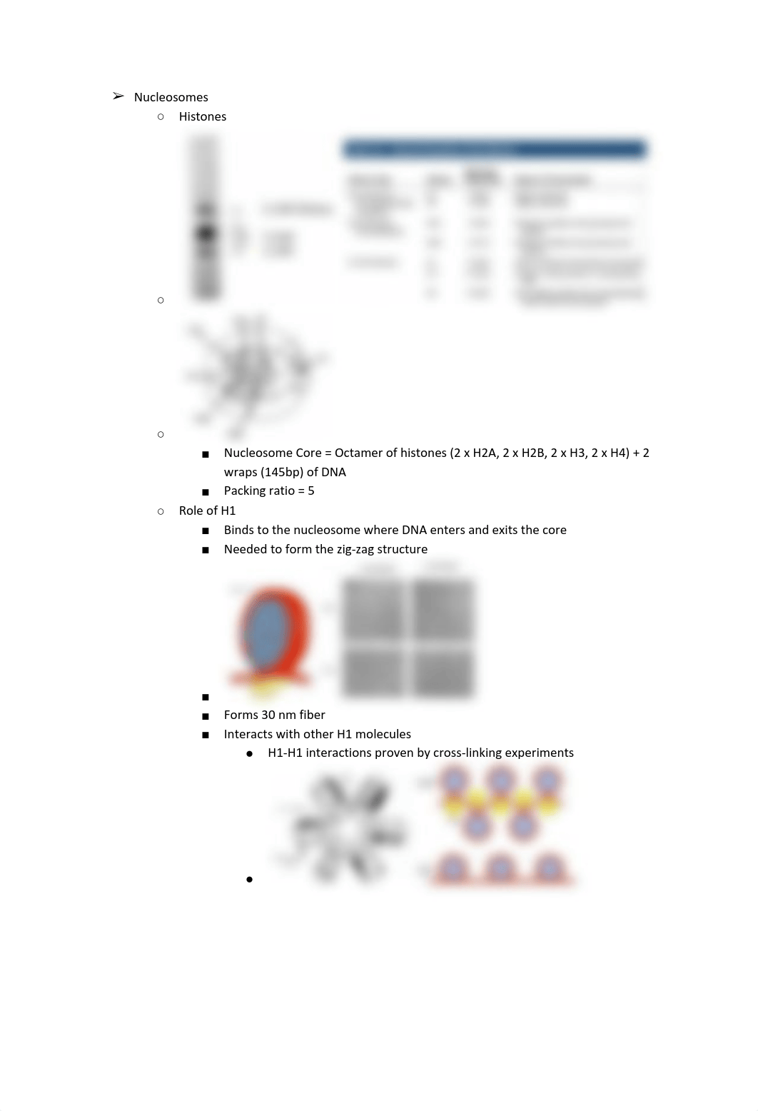 Molecular Exam 1.pdf_d6sydijwti2_page4