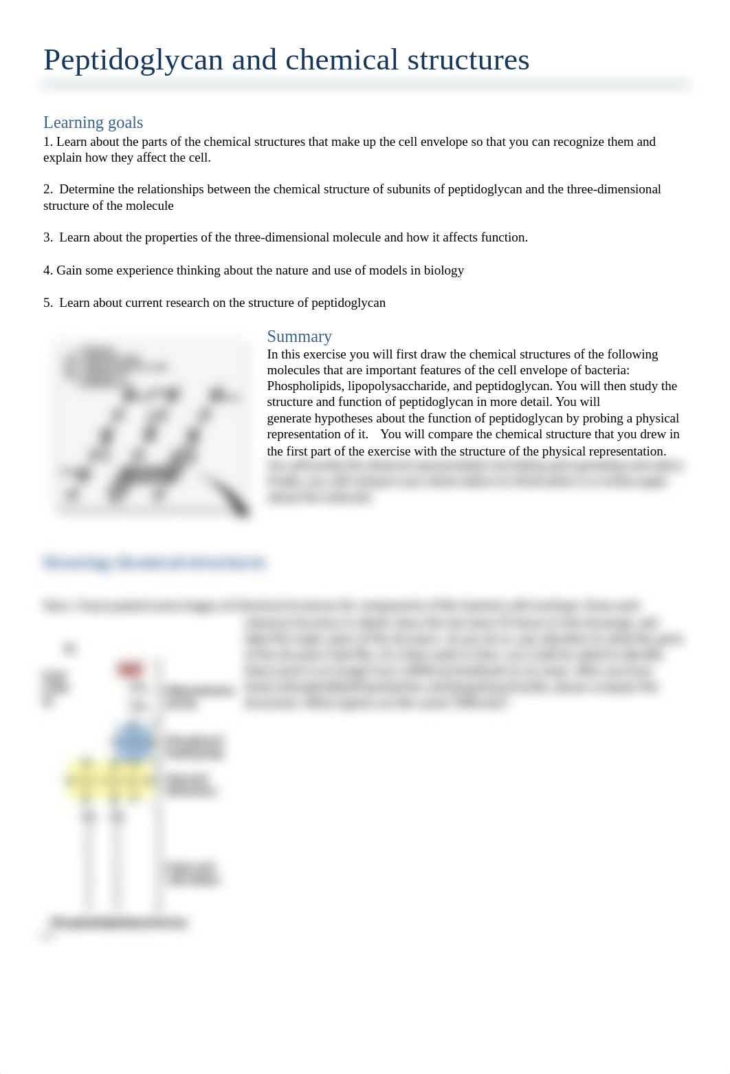 Peptidoglycan and chemical structures exercise2021.docx_d6t109lfcr7_page1