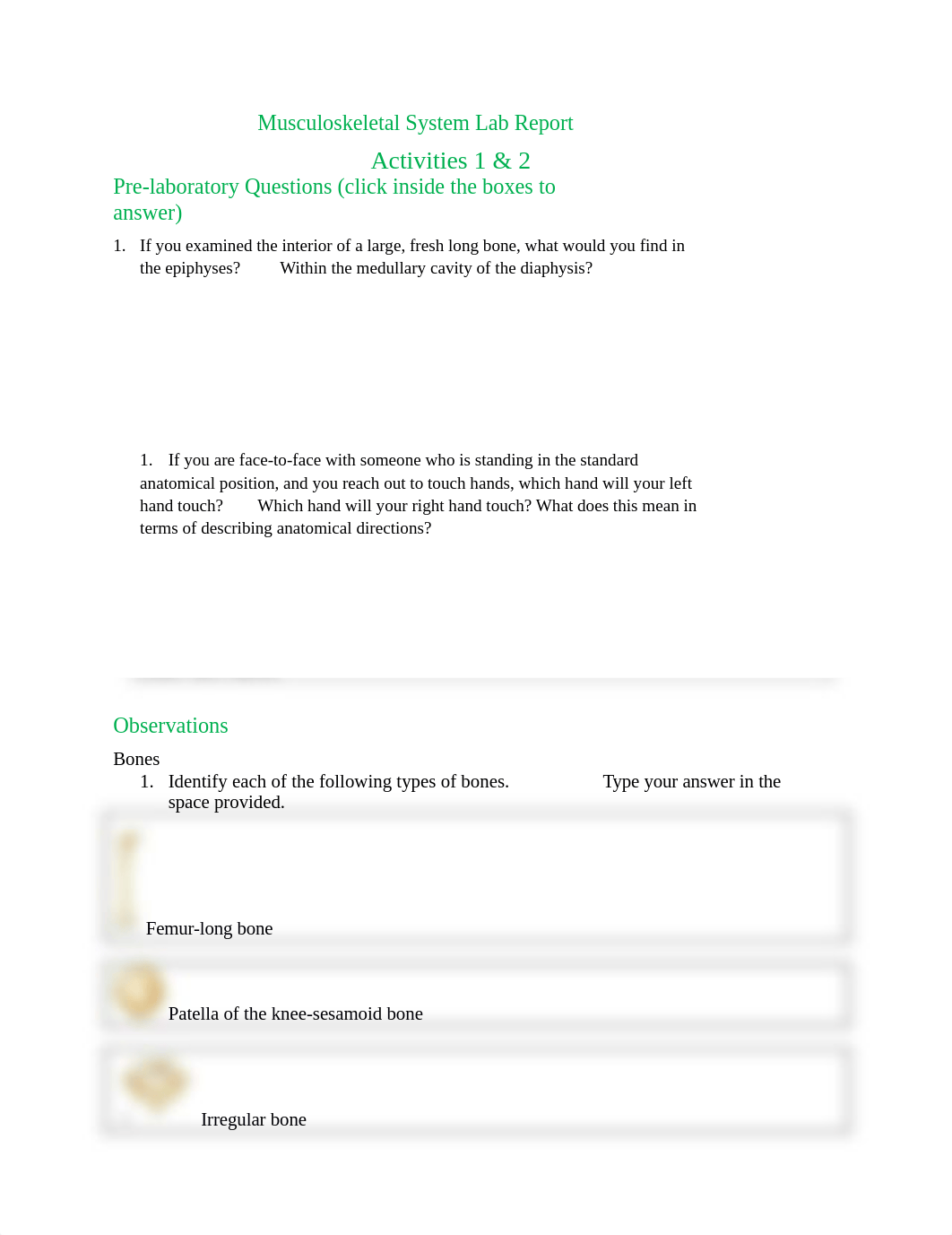 Musculoskeletal System Lab Report Activities 1 & 2 (1)_Becerril with photos.docx_d6t7a3i80wm_page1