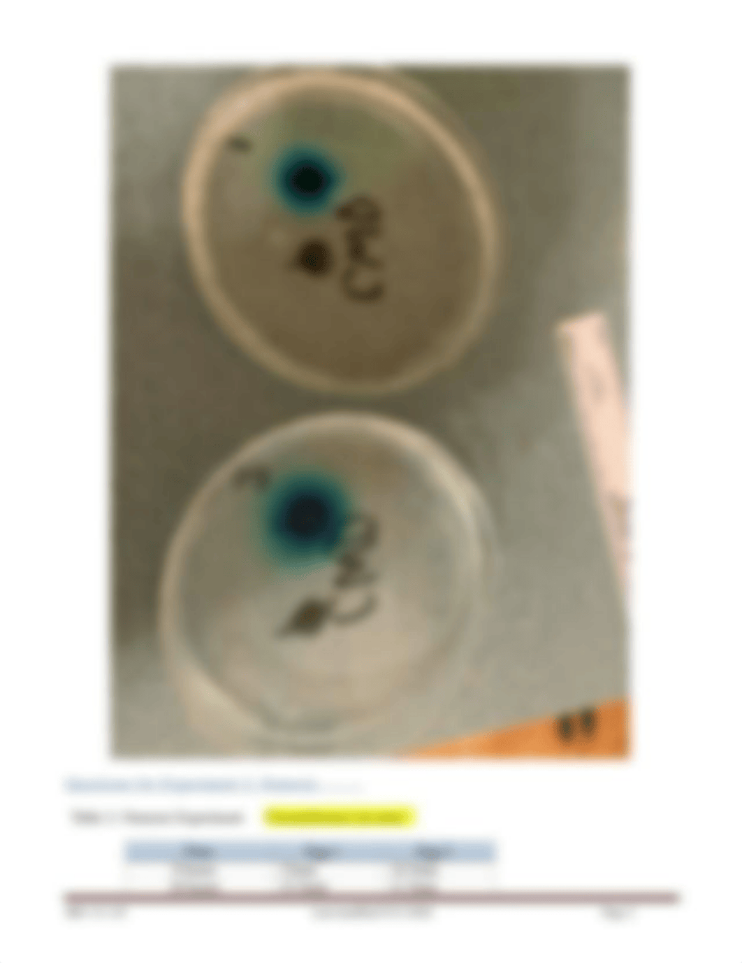 Module 4 Lab_Diffusion_Data Sheet.docx_d6tiuq316t9_page2