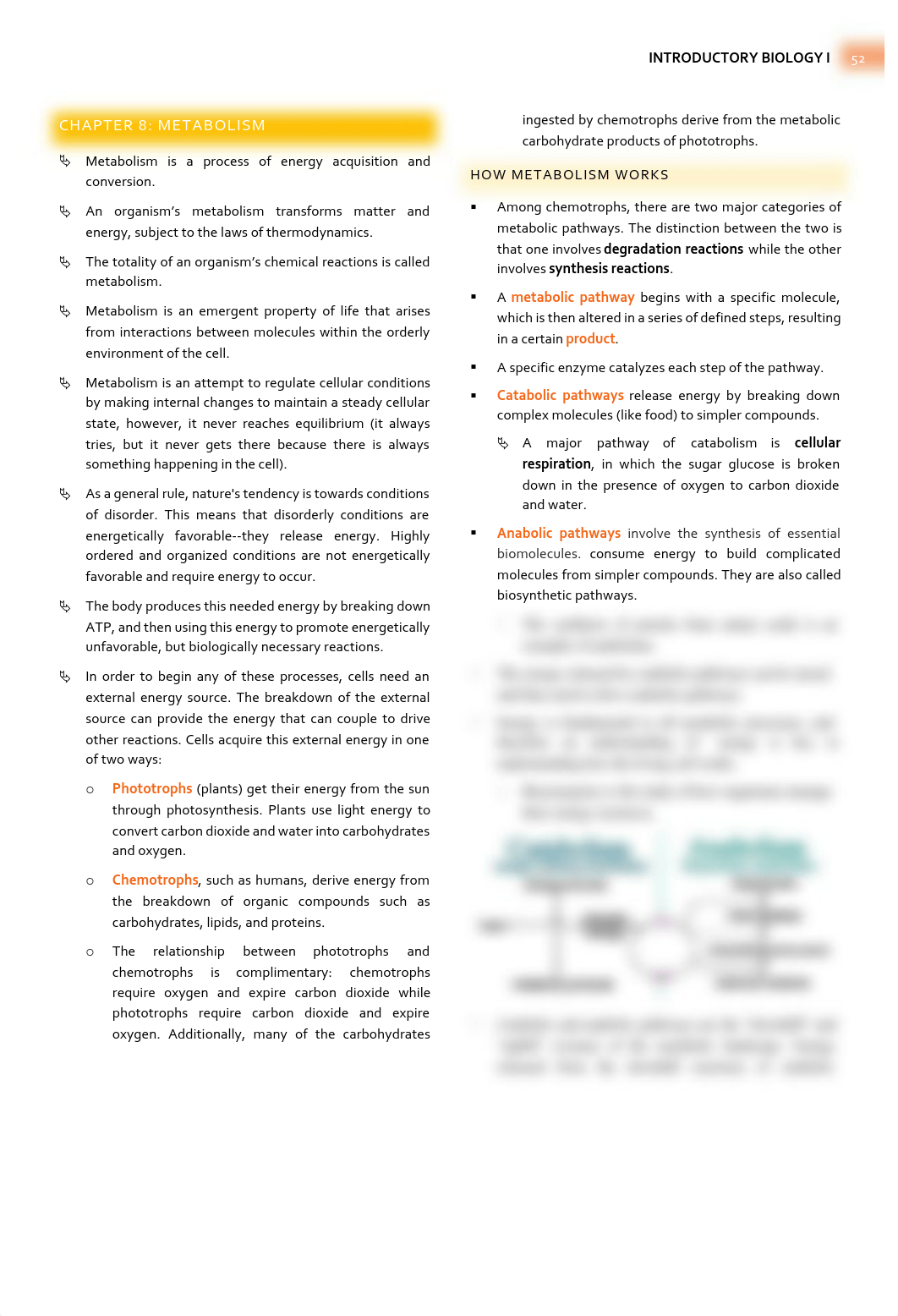 Campbell Biology - Chapter 8 Summary - Metabolism.pdf_d6tkjh9znaa_page1