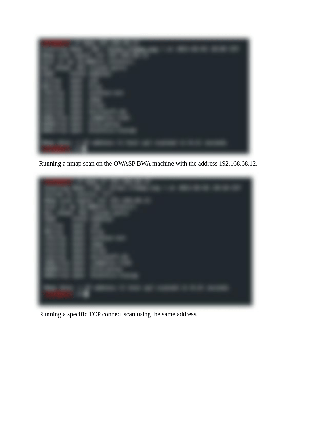 Recon with nmap, zenmap and masscan.docx_d6tmx0sy5tp_page2