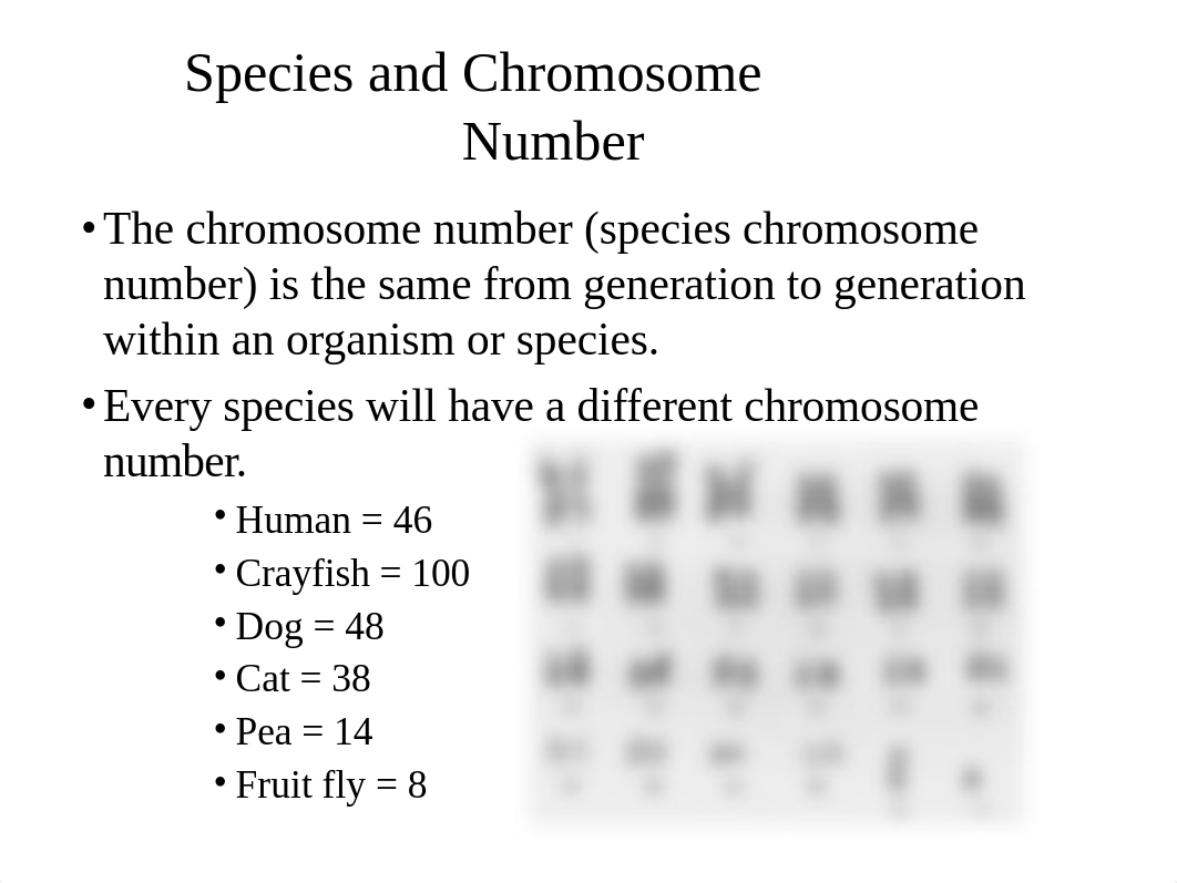 Class 11 - Genetics and Heredity.pptx_d6trneagc3x_page5