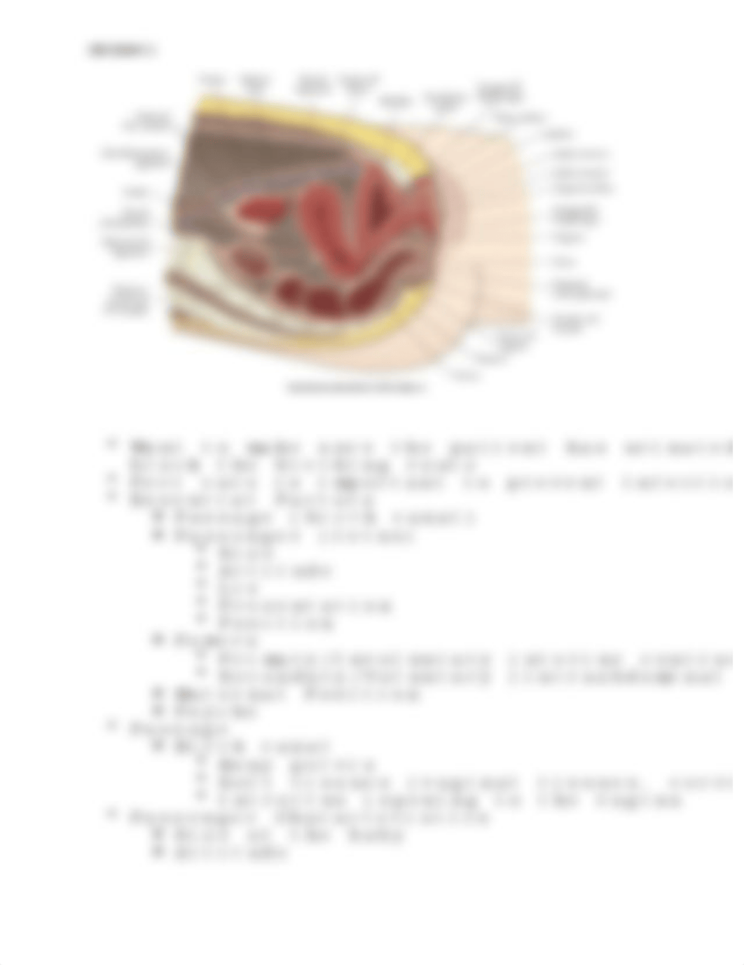 OB Exam 1 Notes.docx_d6u2bd02emr_page1