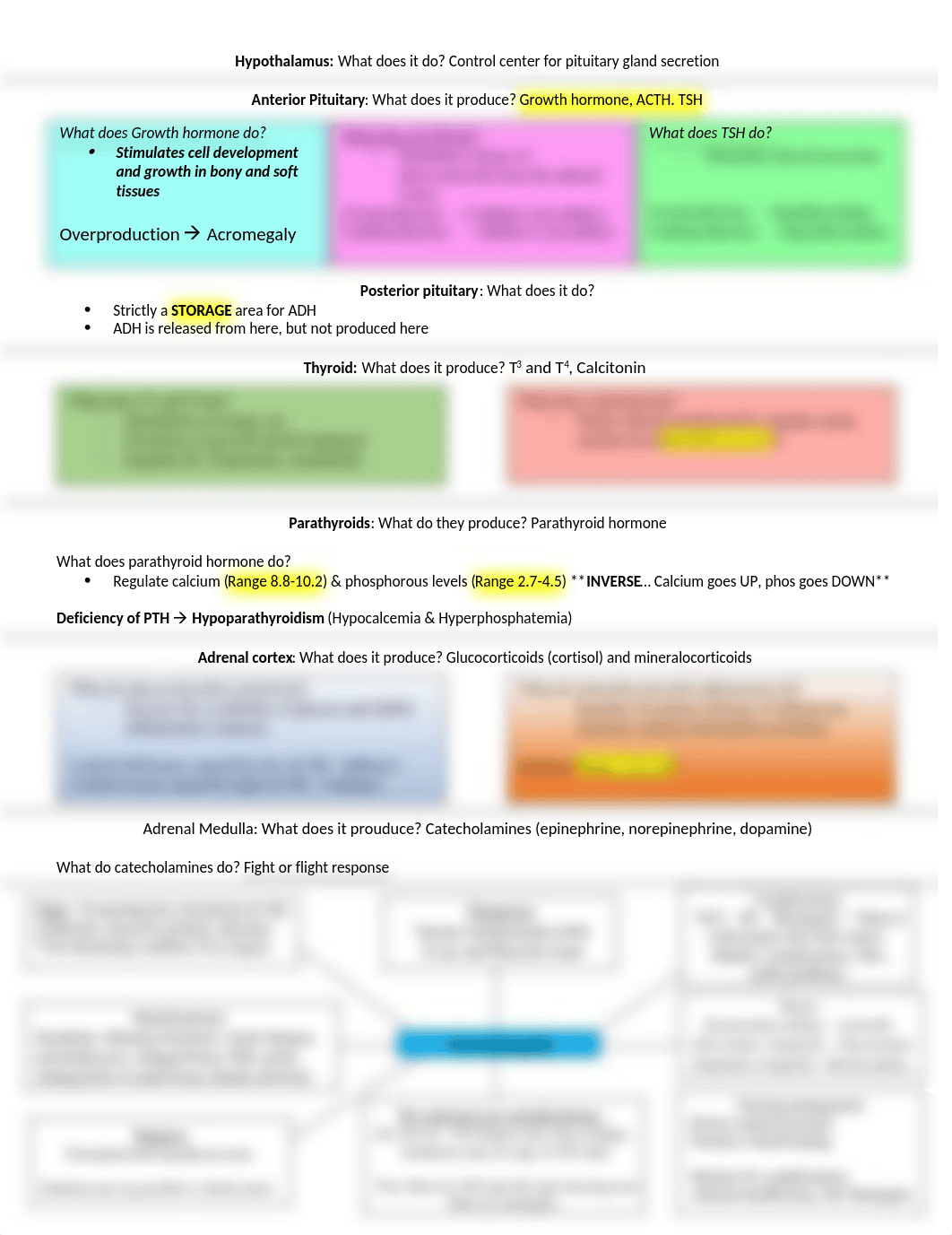 endocrine study guide part 1.docx_d6u4qyfomc4_page1