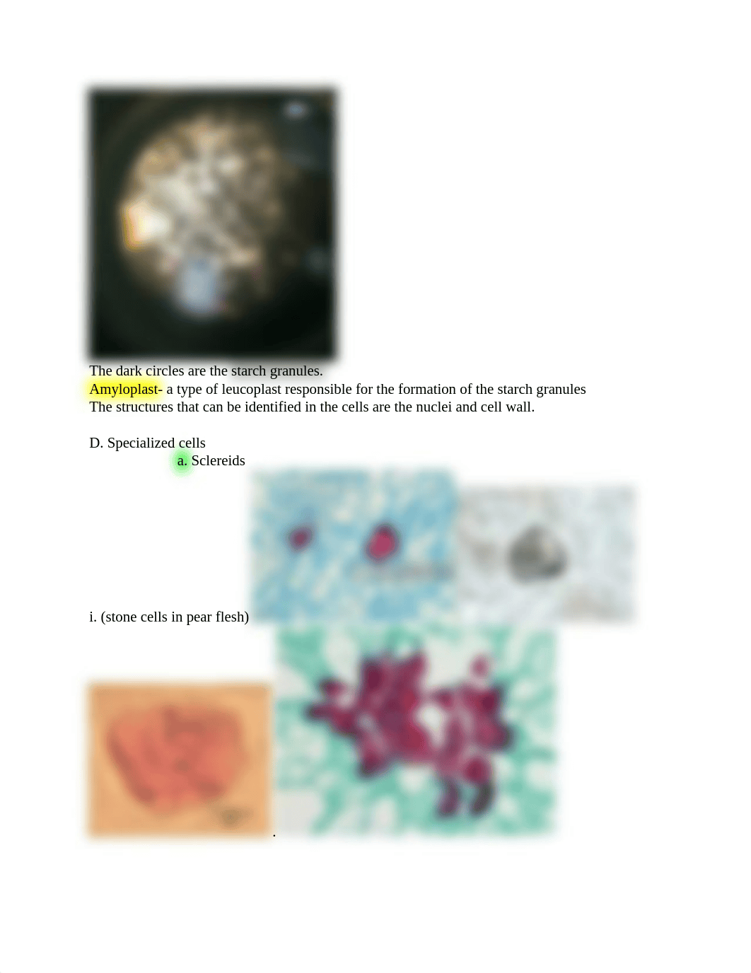 Botany Lab Practical.docx_d6ua0bomajb_page2