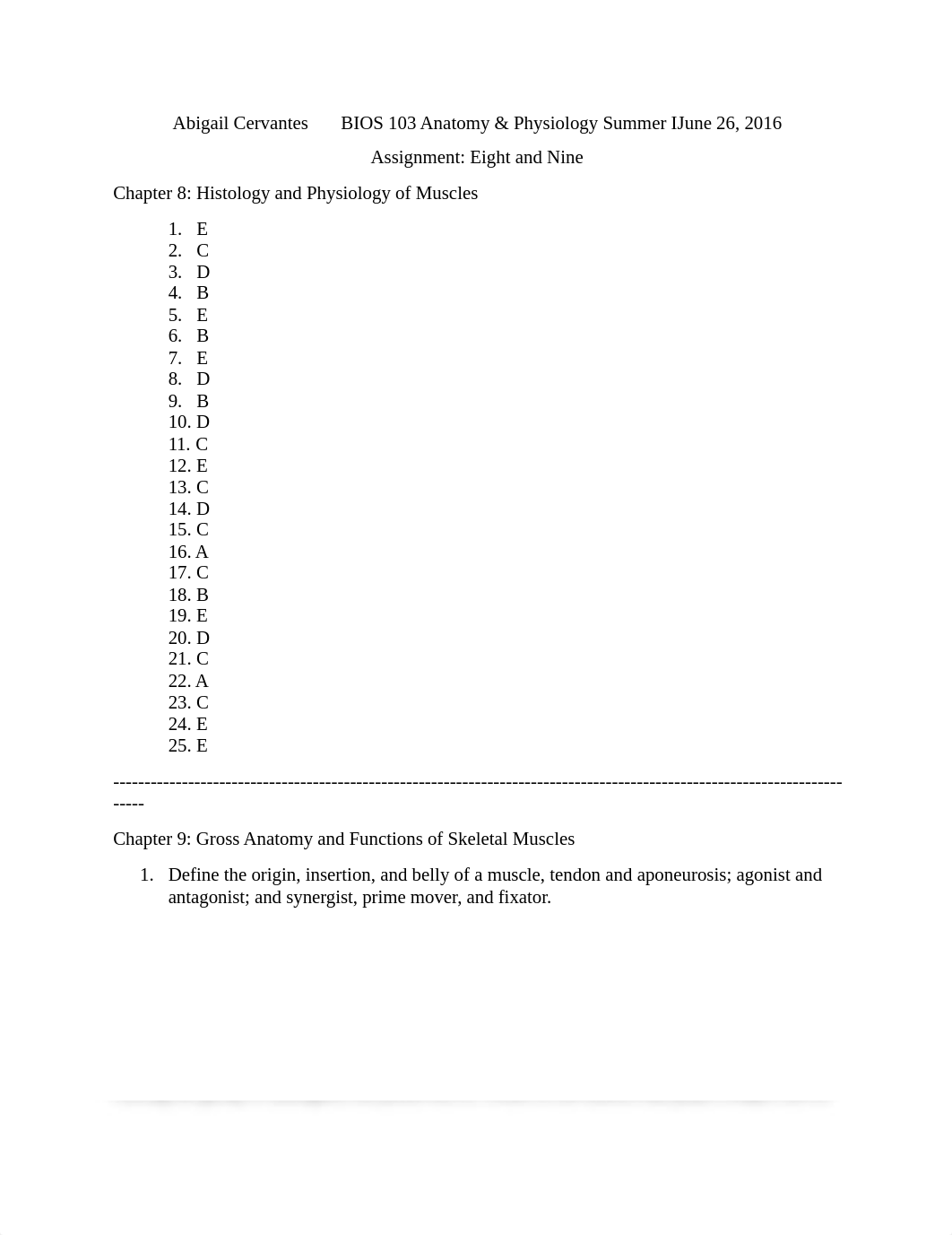 Cervantes Assignment 4_d6ub5d2ubyy_page1