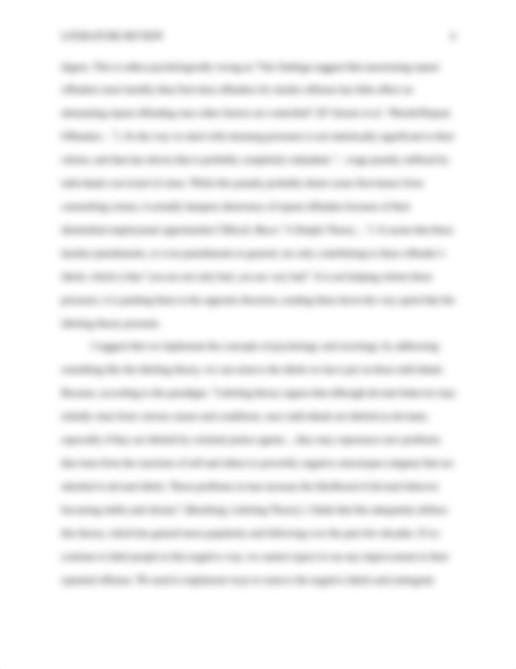 Sociology_Literature_Review_d6ubxadld8p_page4