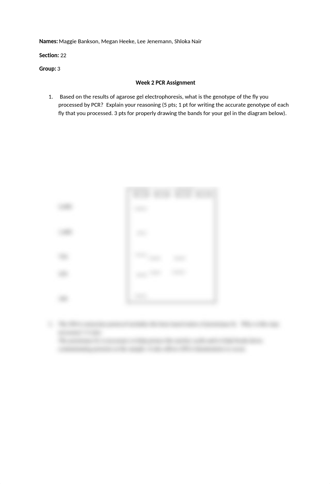 Week 2 PCR Worksheet.docx_d6uby4dtn5n_page1