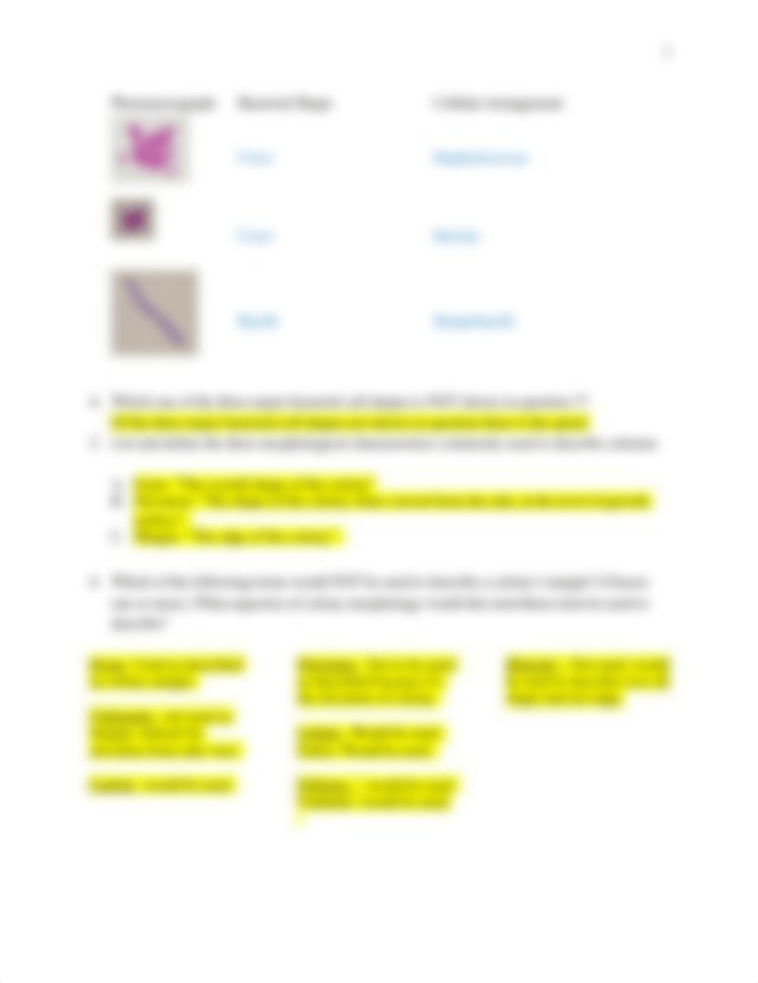 Bacterial Morphology Virtual Lab Questions.docx_d6uc9w85owc_page2