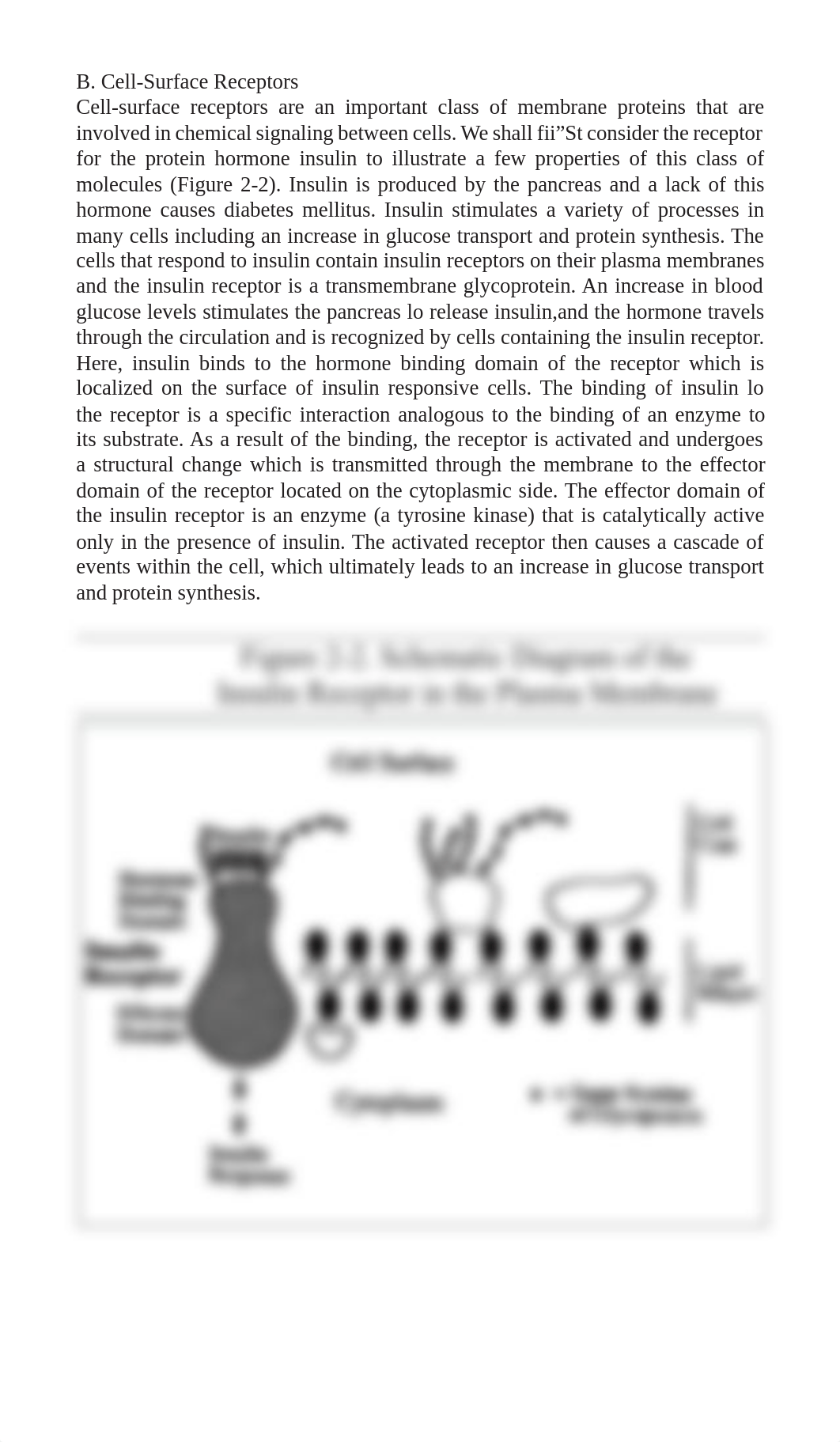 Analysis of Cell Surface Receptor Lab.pdf_d6uewl2aohc_page2