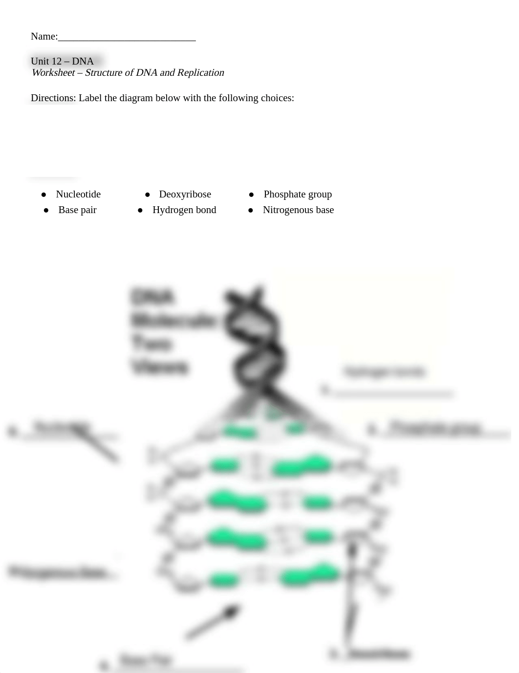 Ch11 DNA worksheet (1) (1).docx.pdf_d6uexpa9xk8_page1